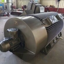 稀土永磁电机 30kw 3000/1500转 100hz电动机