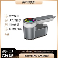 国境を越えたハイエンド手持ちのアイロン掛け機のハイパワー蒸気家庭用携帯型アイロン旅行アイロン