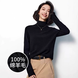 女式羊毛衫;女式针织衫;连衣裙