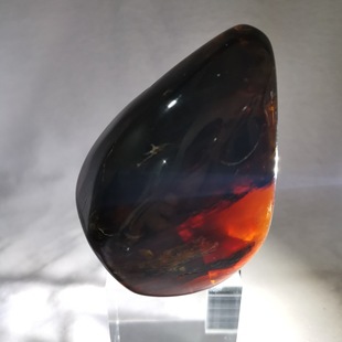 Shirui Ji Billion Years Pure Natural Brown Amber Brown Pepper Natural Amber Jewelry Design Raw Materials Decorations