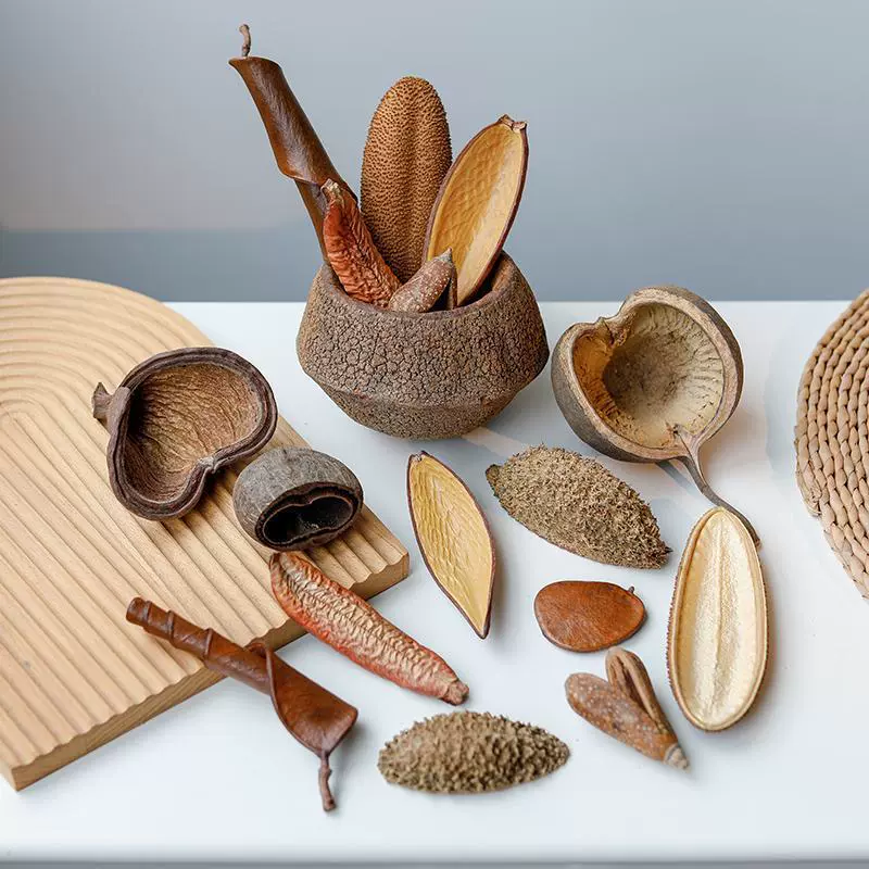Import decorations, plant lamp, sample, materials set, aquarium, handmade