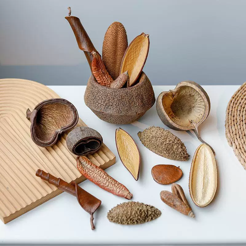 Import decorations, plant lamp, sample, materials set, aquarium, handmade