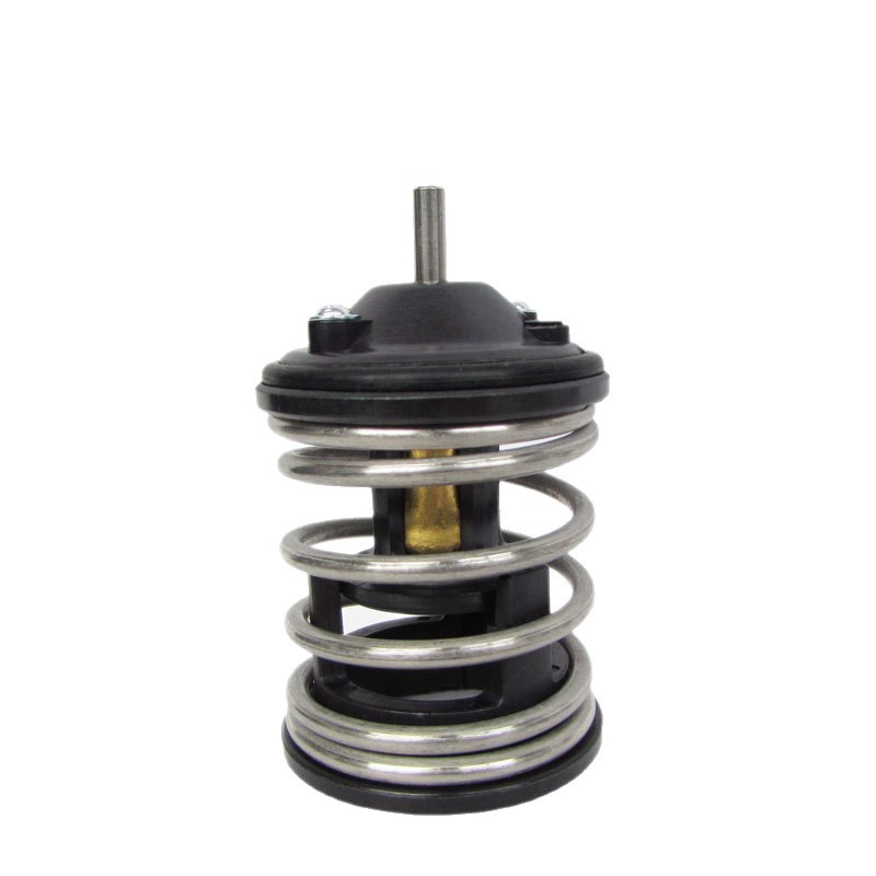 Suitable for Bmw Thermostat Core 11517805192 11517806975 11517823193