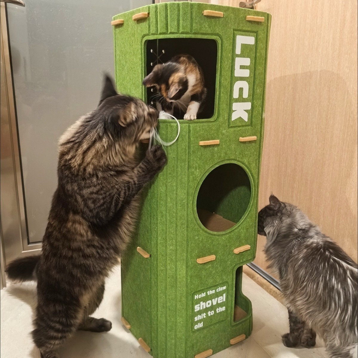 Casa para gatos de varias capas, marco de escalada para gatos universal para cuatro estaciones, árbol para gatos, agujero para árbol para gatos en un solo cuerpo, doble raspado en invierno, casa para gatos cerrada