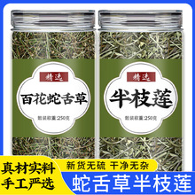 白花蛇舌草和半枝莲中药材新鲜野生百花铁树叶茶泡水的功效与作用