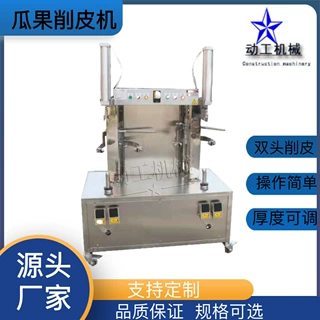 定制双工位瓜果削皮设备菠萝面包果去皮神器全自动橙子去皮机