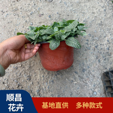 ����ֱ���W�y�����Ի���̦�\΢���^�Gֲ���Ա���ֲ��W�y��