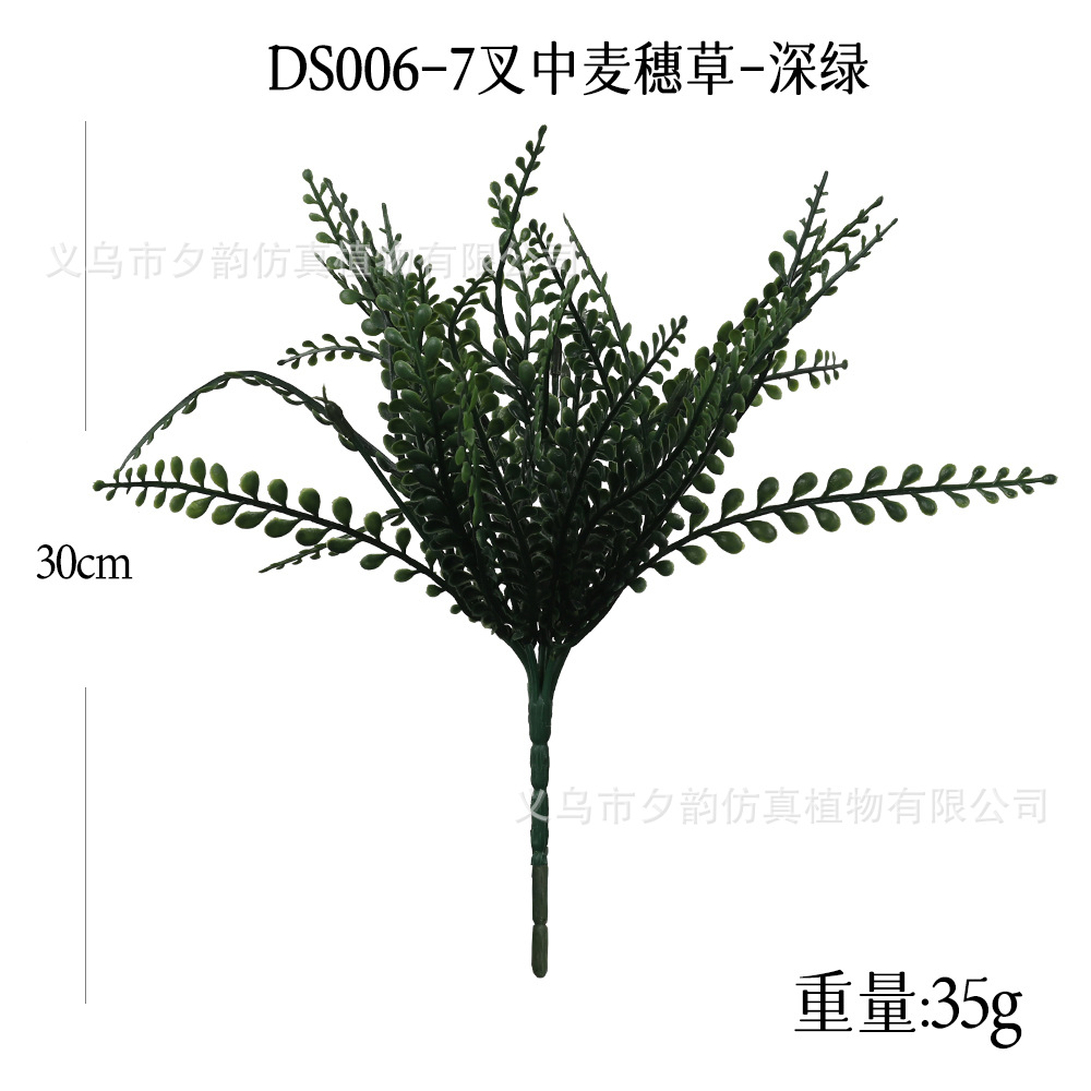 DS006-짙은 녹색 7갈래 밀이삭풀