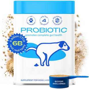 Kindergarten Amazon Cross-Border Popular Pet Probiotic Powder Probiotic Source Factory Direct Sales Wholesale Export Oem