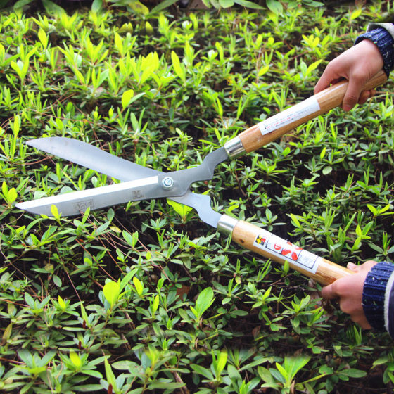 Wooden handle garden flowers and trees pruning hedge scissors gardening lawn pruning scissors tools golden horse fence scissors branches