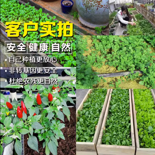 微信图片_20230815100133