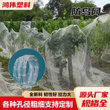 ����ϩ���B�W ���@�~�� ���o�Bֳ�W ��W �r�I��~���W���ϻ�����