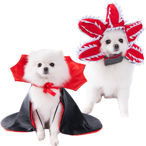 Halloween Dog Costumes for Small Dogs, Funny and Quirky Transformations, Teddy Cat Style Creative Outfits for Pets