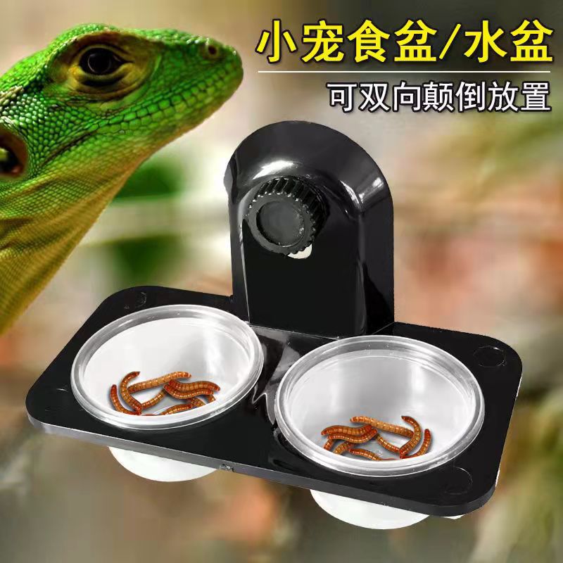 Spidering Box Pet Habitat Terrarium Reptile Cage Lizard Gecko Feeding Station Dual Water Basin