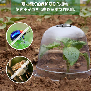 Manufacturer Supplies Plastic Transparent Garden Seedling Planting Insulation Cover Pet Breeding Breathable Mini Seedling Cover