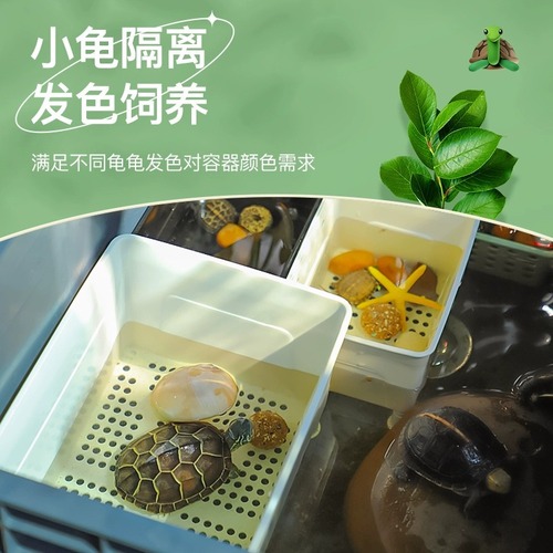 Small turtle isolation box, turtle seedlings, black and white hair color box, guppy fry, fish tank breeding box, multifunctional breeding box
