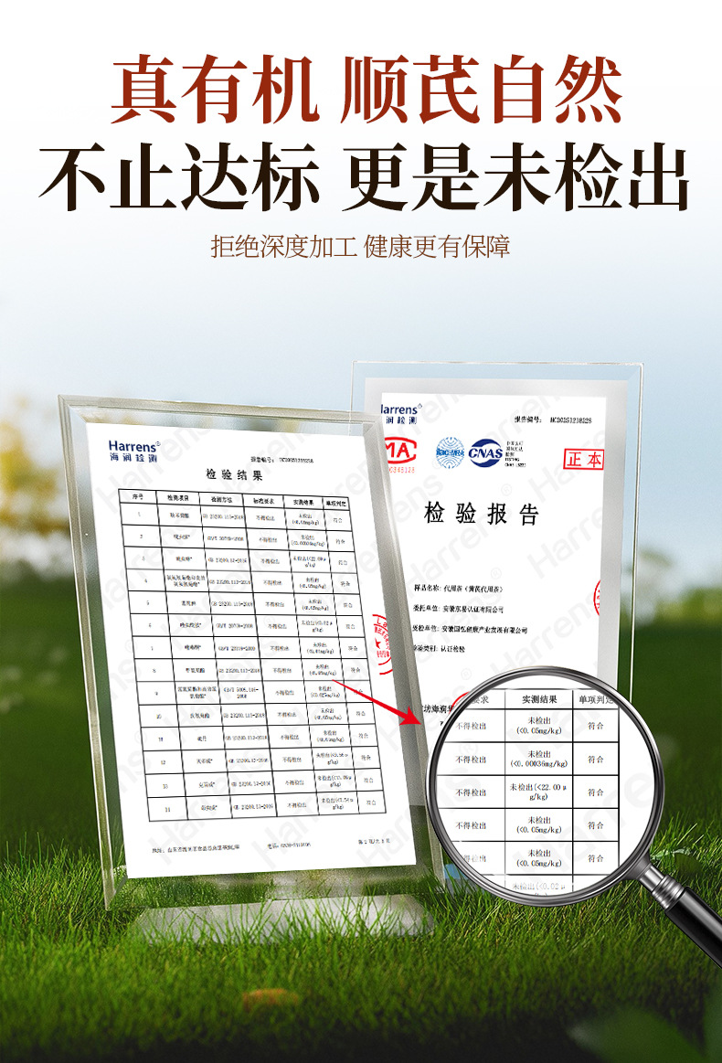 Organic Astragalus Root Slices Huang Qi 200g Canister for Tea and Soup in use