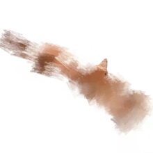 �羳�¿��؈��ץ�W���L������ľ�|��Ħ�ϰW�Wץ������Ħ��