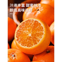 ��ϸ�ɽ�ָ�10�����rˮ������������Fժ�����۽۸���ɰ������