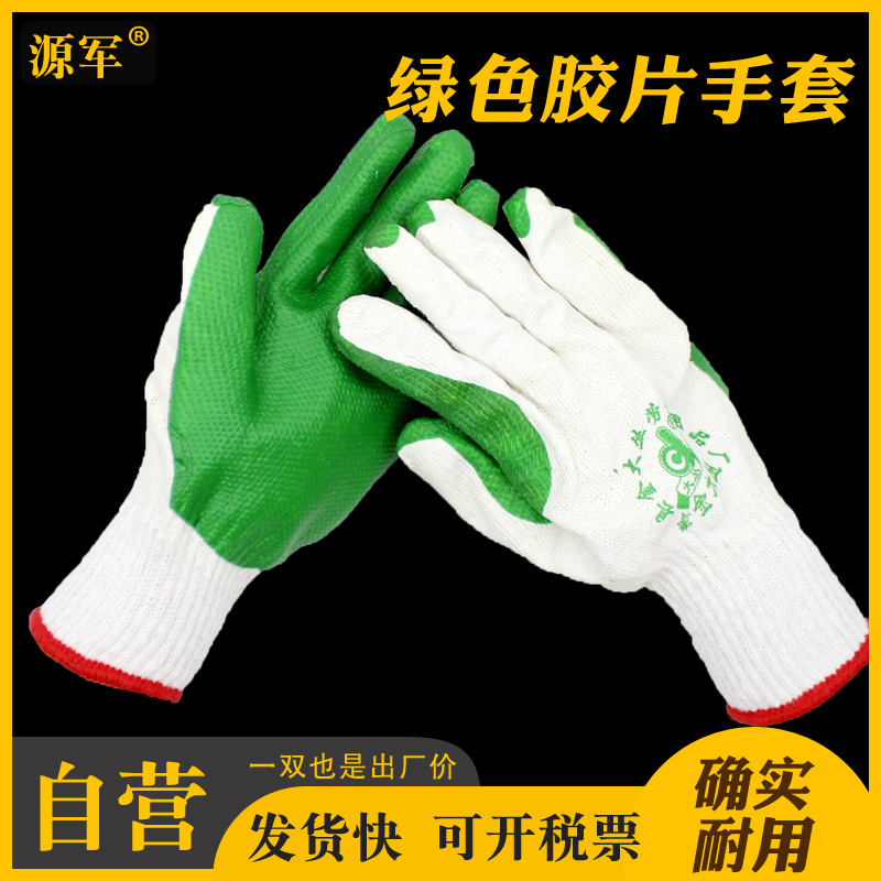 绿色胶片主图照片