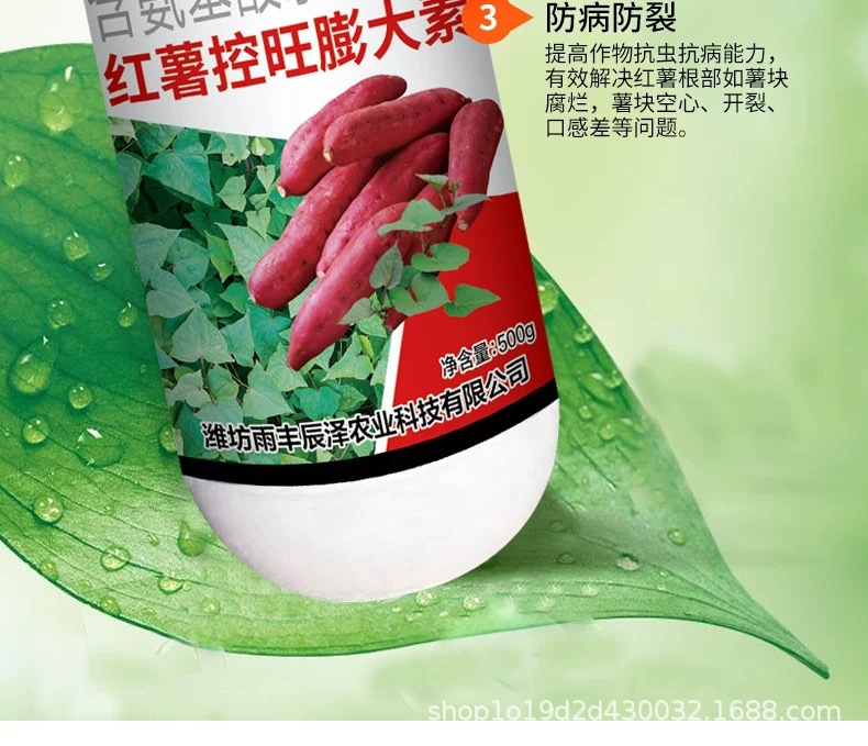 详情图