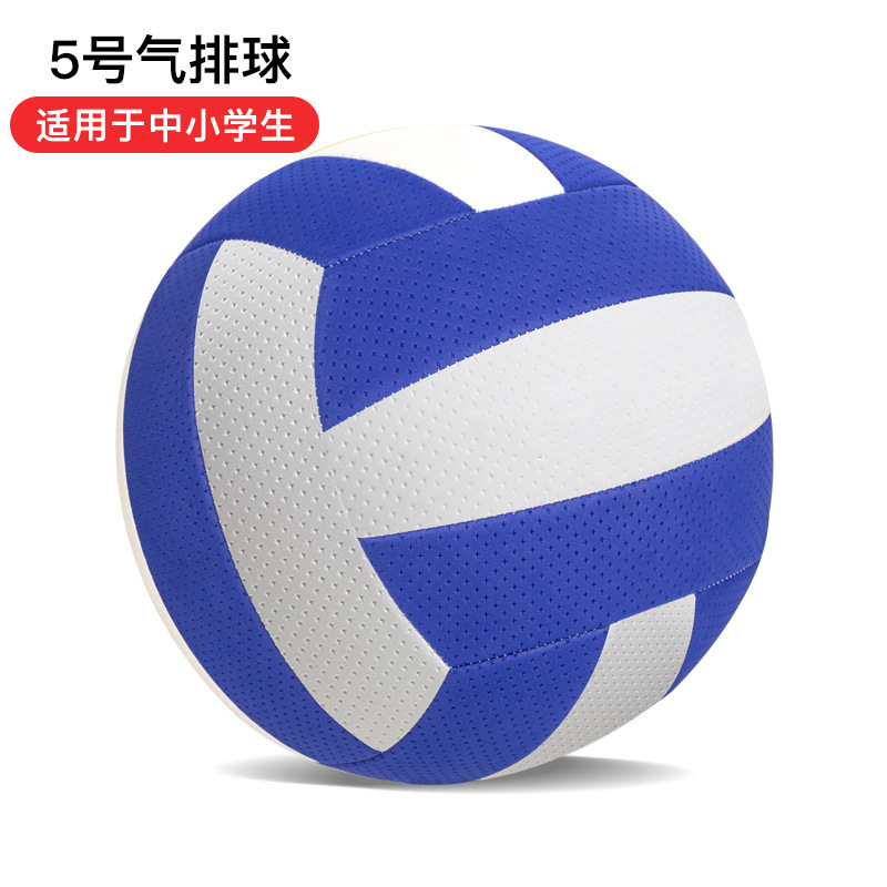 バレーボール 高校受験 特待生コンテスト 小中学生 5号 スタンダード 4号 小学生 バレーボール バレーボール|undefined