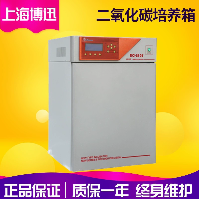 Шанхайский BC-J250 газовый термоизоляционный инкубатор с CO2 для клеточной и тканевой культуры