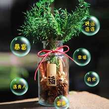 �����ؔ��޹�[����ؔ�Tǧ�ӽ�ƿȦ�����k���������bY�ﲣ��
