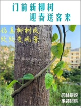 树皮包水管柱子下水管道遮挡装饰美化贴墙面阳台耐晒耐用