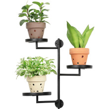 ��ɫ�͏d�̨�F���������D��ֲ��ܽ��ٻ��ܠ��ھG�}����ֲ��֧��