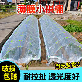 薄膜小拱棚透明加厚塑料膜支架拱杆架地膜防水公路防护膜蓝色薄膜