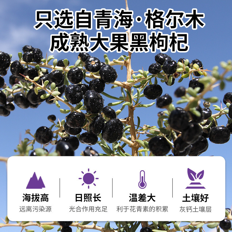 青海黑枸杞罐装包装即食特产养生滋补送礼野生正宗枸杞|undefined
