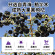 Qinghai black wolfberry canned packaging instant specialty health tonic gift wild authentic wolfberry manufacturers wholesale
