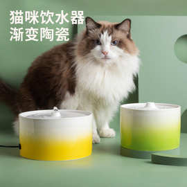 猫咪电动陶瓷加热饮水机自动饮水器狗狗喝水循环宠物碗活水喂水器