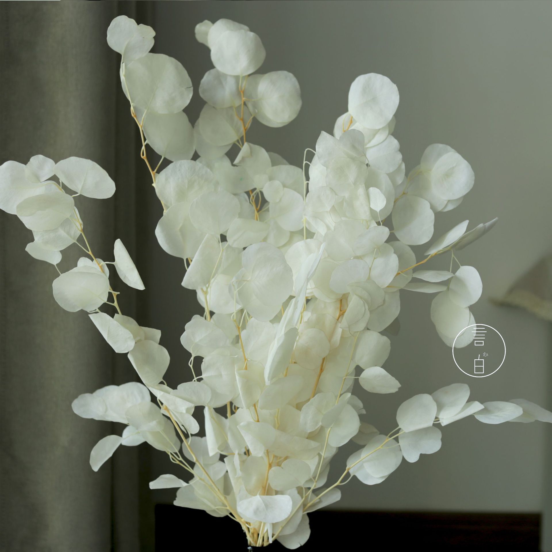 Everlasting bleached apple leaves, white round-leaf eucalyptus leaves, dried flowers bouquets, wedding scene flower materials wholesale