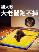 老鼠貼超粘鼠板加厚粘鼠膠家用捕鼠驅一窩端1274