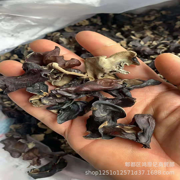 4d5dd0885827e509fe451b6ffc766c