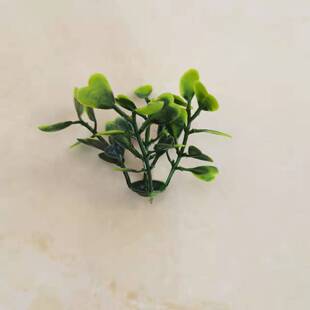 ����ֲ��Č����m�ݲ�ƺ ����������m��������������b����