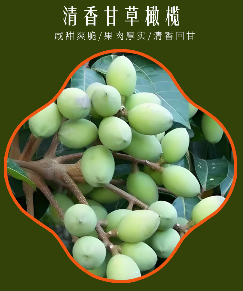 Licorice Olive Snack Gan Cao Gan Lan 100g Sweet Tangy Preserved Olives Office Treat quality and texture