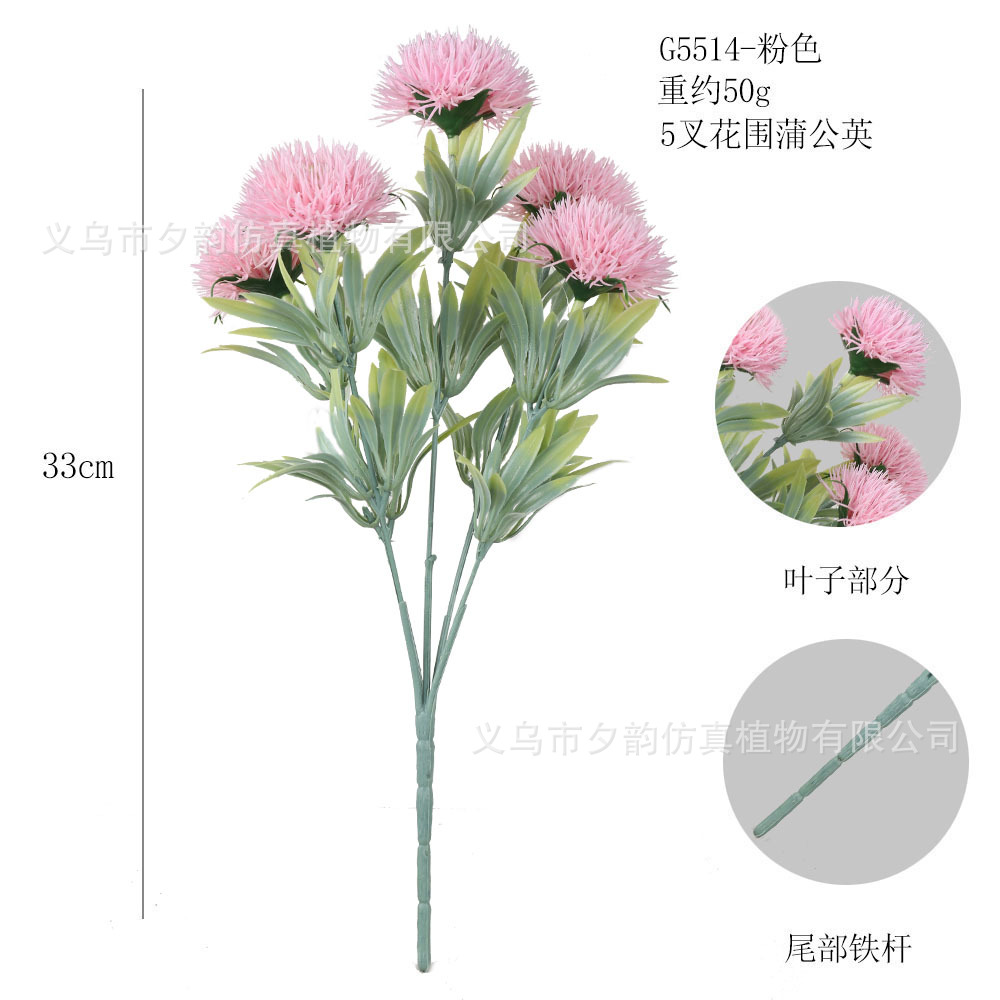 G5514-분유 5갈래 꽃 민들레