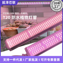 T20��ˮֲ���a���ȫ���VIP65ֲ������⻨�ܜ������L��UV