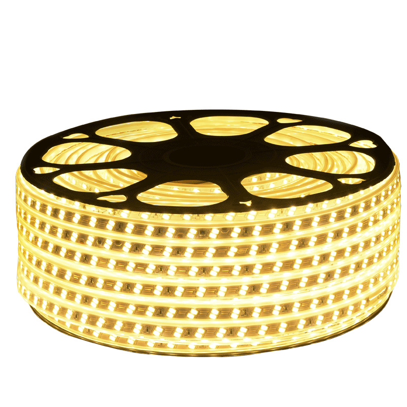 100 미터 LED 스트립 야외 방수 야외 슈퍼 밝은 3 색 노란색 따뜻한 밝은 흰색 파란색 220V 이상
