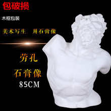 厂家直供劳孔胸像石膏头像石膏教具石膏像拉奥孔石膏头像雕塑摆件