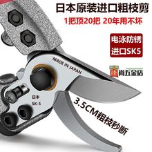 日本原装进口SK5修枝剪刀新款园林大号果树枝修剪农用专用园艺剪