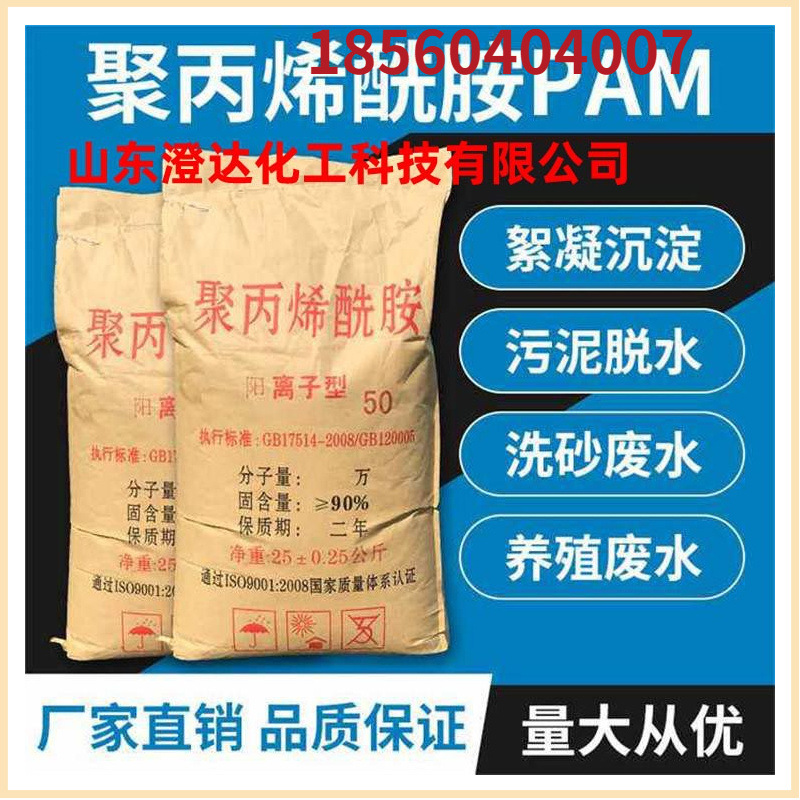 生产厂家 阳离子聚丙烯酰胺PAM 支持复配 取样化验 现场服务