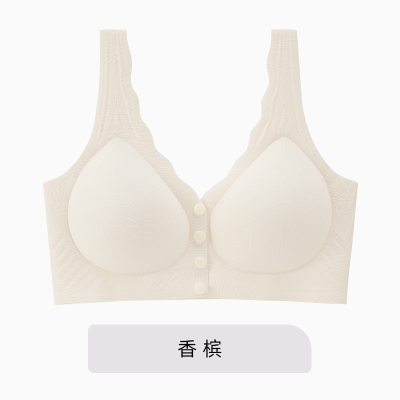 샴페인