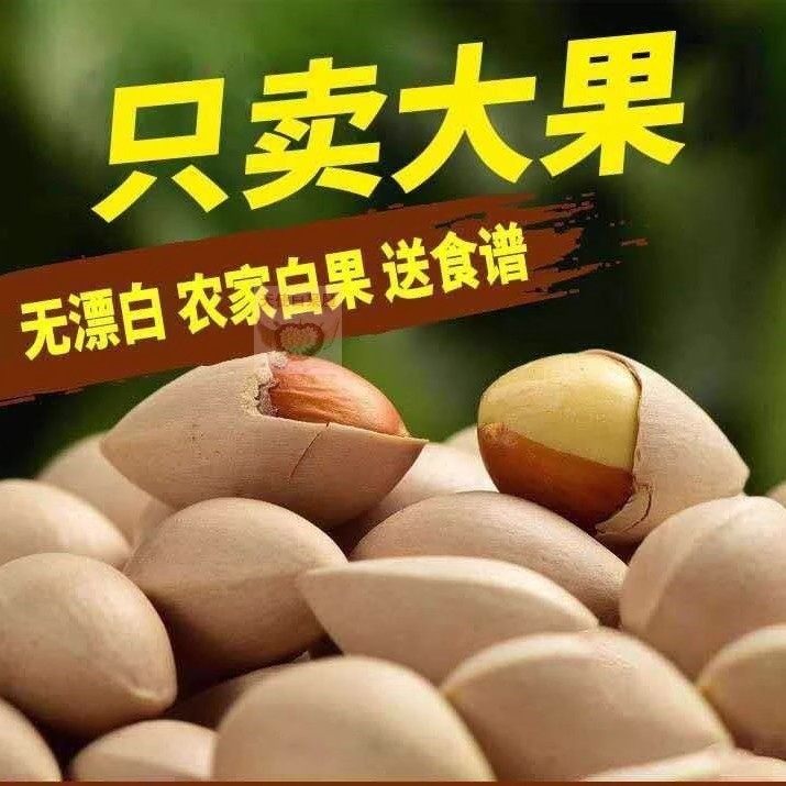 手工挑选农家新鲜大白果泰州特产2025泰兴大佛指生白果银杏果