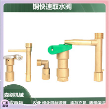 ✞6分一寸铜取水阀 黄铜快速取水阀DN20,DN25取水器一件代发取水