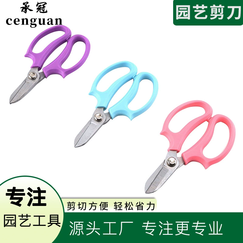 Флорист Цветочные ножницы Широкая голова Бытовые ножницы для цветов Цветы Резка цветов Цветочные ветви Ветвь Садоводство Посадка в горшке Инструмент для ремонта цветов