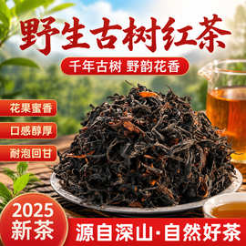 2026新茶正宗荒野红茶滇红茶云南昌宁古树浓香型花果香蜜香头春茶